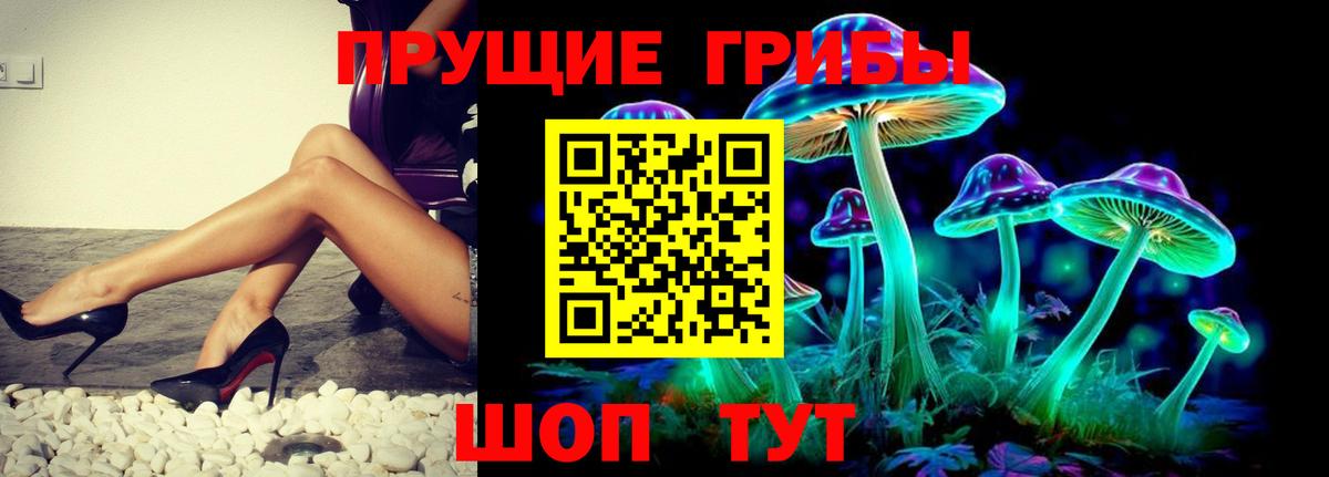Галлюциногенные грибы Psilocybe Сызрань